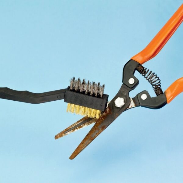 2 Pce Double Head Brushes Set