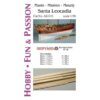 Mast Set for Santa Leocadia