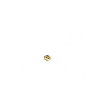 Brass Circular Flower 4mm